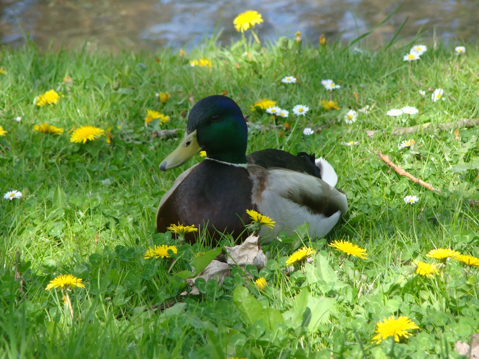 Park im. H. Sienkiewicza