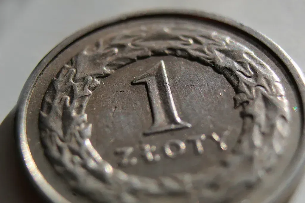 Jak cudzoziemcy mogą budować wiarygodność finansową
