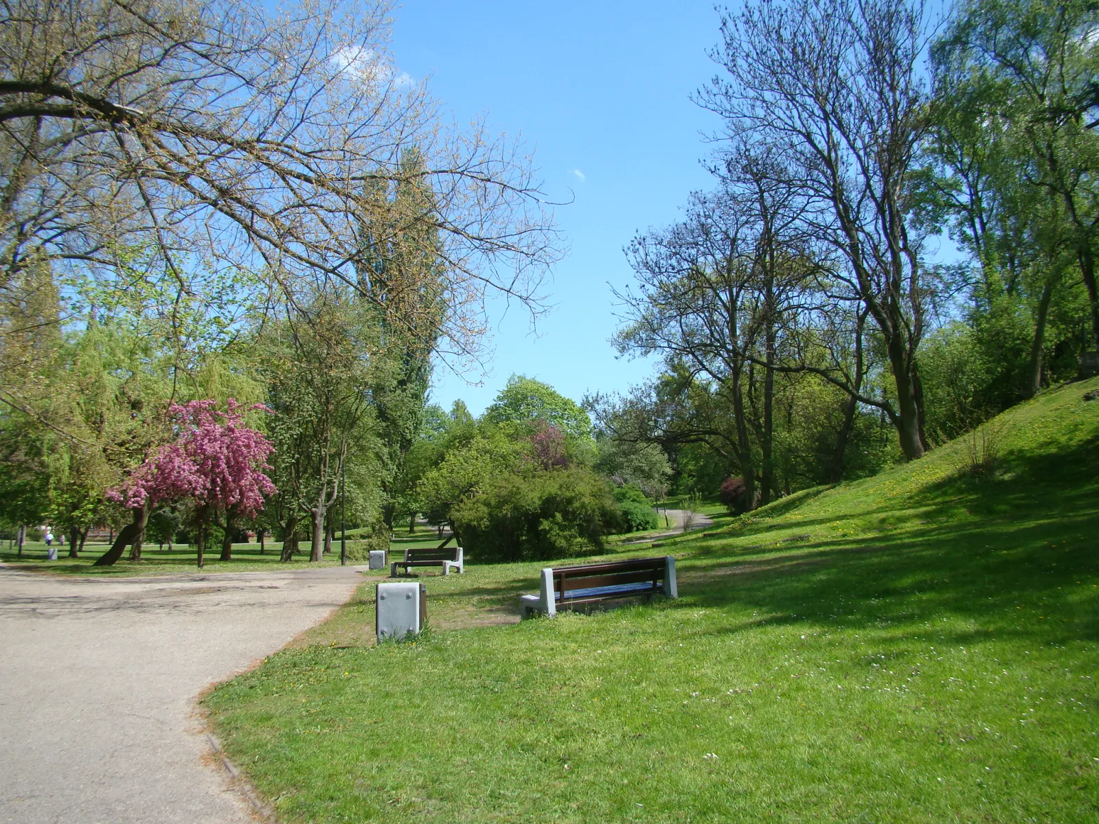 Park im. H. Sienkiewicza