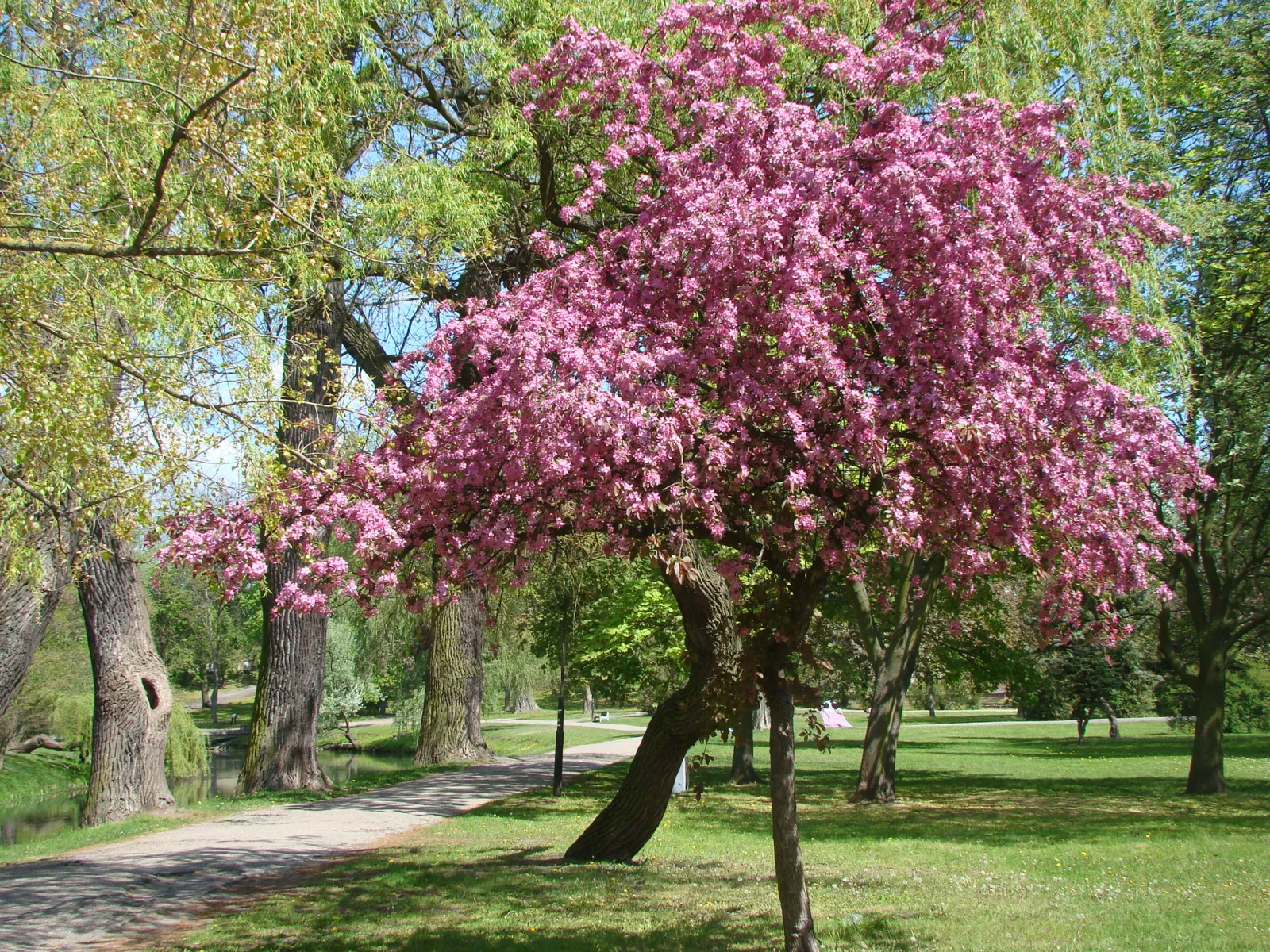 Park im. H. Sienkiewicza